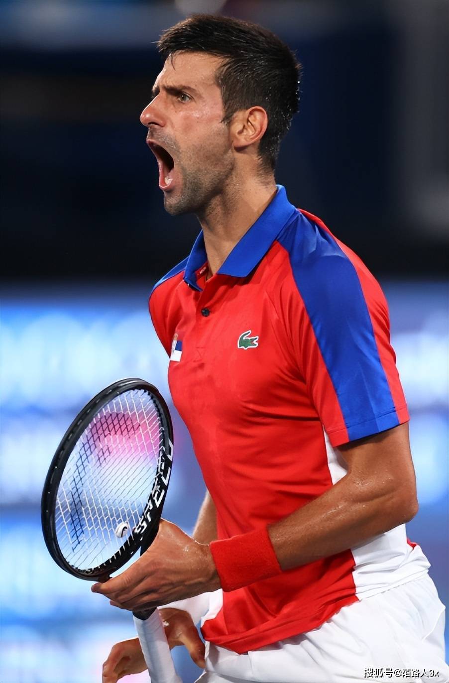 西班牙网球队绝杀美国网球队，德约科维奇惊艳世界的简单介绍