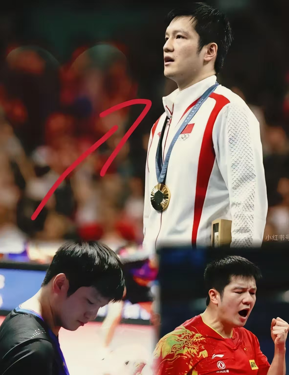 日本队轻取奥地利队，樊振东扛起全队